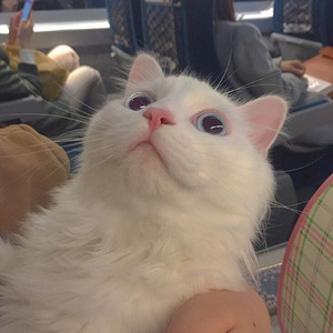 我的世界美女被❌羞羞
